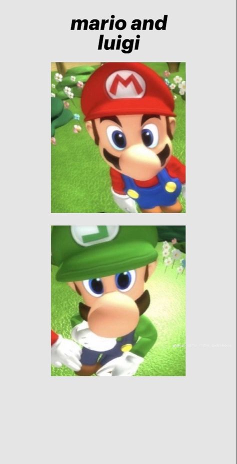 Luigi Pfp, Mario Y Luigi, Alvin And The Chipmunks, Matching Wallpaper, Mario And Luigi, Cute Profile Pictures, Chipmunks, Matching Pfp, Profile Picture