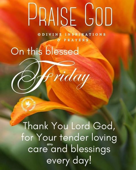 Friday Blessings Inspiration Prayer, Friday Blessings, Divine Inspiration And Prayers, Good Morning Friday, Good Morning Happy Friday, Blessed Friday, Friday Morning, Cute Love Quotes For Him, Good Morning Inspiration