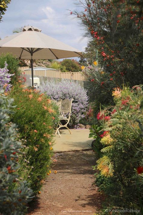 Australian Gardens, Australian Garden Design, Bush Garden, Australian Native Garden, Garden Growing, Australian Native Flowers, Australian Plants, Cottage Garden Design, Australian Garden