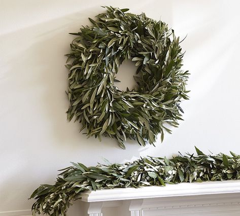 Myrtle Wreath, Olive Leaves, Wreath Garland, Porch Area, Wreaths And Garlands, Central California, Williams Sonoma Home, Silver Bells, Wreaths & Garlands