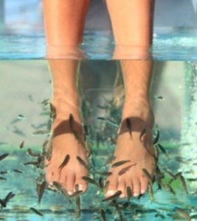 Dry Heel Remedies, Fish Spa, Spa Images, Feet Pedicure, Dry Heels, Foot Pedicure, Fishing Pictures, Foot Spa, Foot Bath