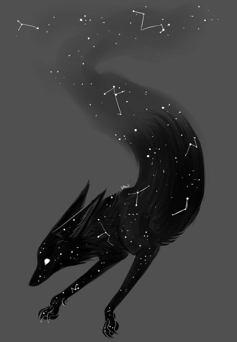 Fox Art, A Wolf, The Sky, Fox, Black And White, Stars, White, Black, Art