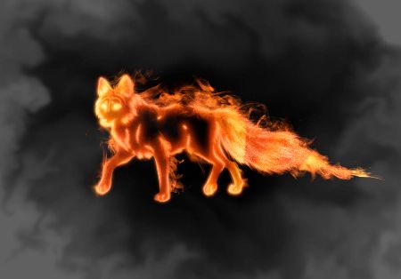 Fire Fox Aesthetic, A Fire, Fox, Quick Saves