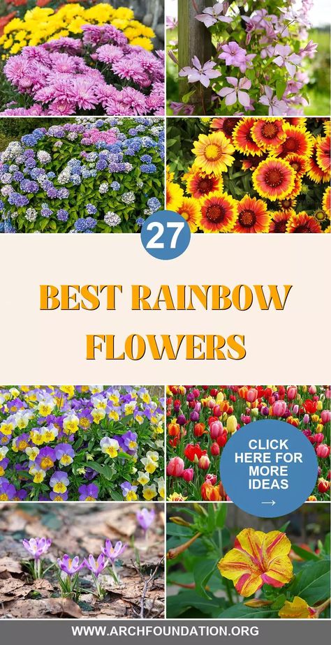 There’s something magical about a garden that bursts with the full spectrum of colors. Rainbow-themed gardens are a celebration of nature’s diversity, offering a stunning display of hues that can energize and uplift any outdoor space. Whether you prefer a subtle blend of colors or a vivid explosion of shades, these 27 rainbow flowers provide the perfect palette for your dream garden. Spring Flowering Bulbs, Perfect Palette, Flower Stands, Floral Color, Vibrant Flower, Large Plants, Colorful Garden, Growing Flowers, Full Spectrum