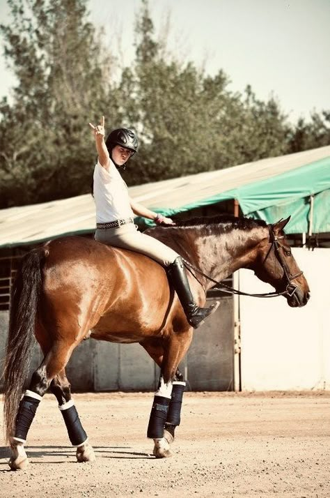 Bareback Riding, Pictures Of Horses, Cute Horse Pictures, Horse Back Riding, Equestrian Aesthetic, Horse Reference, Horse Pics, Most Beautiful Horses, English Riding