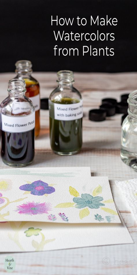 Bottles of plant watercolor ink next to a couple of small flower watercolor paintings. Nature Crafts For Adults Diy, Diy Watercolor Paint, Elf Stuff, Homemade Watercolors, Camp Projects, Pen Pal Gifts, Oddities Decor, Therapeutic Recreation, Homemade Paint