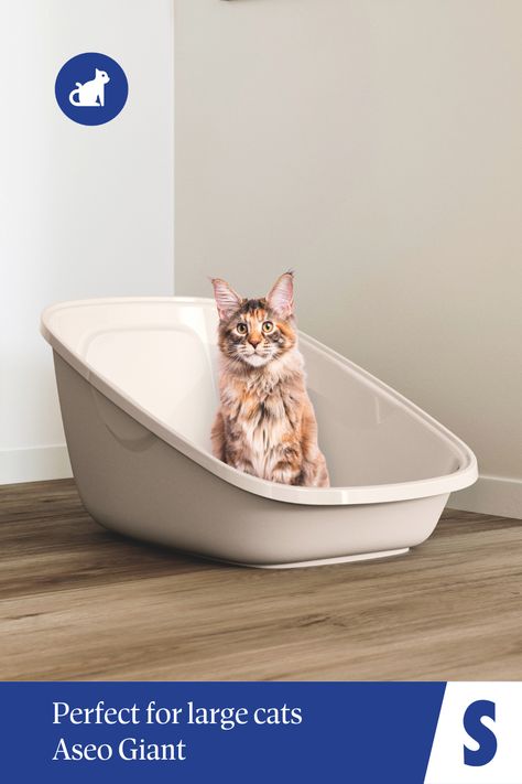 Spacious Aseo Giant litter tray with high back and raised sides to prevent litter spills, designed for large cats and multi-cat households. Best Litter Box, Cat Litter Tray, Cat Litter Mat, Litter Mat, Older Cats, Cat Spray, Litter Tray, Pet Gate, Cat Box