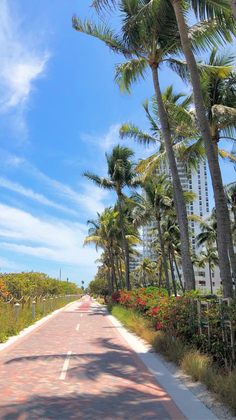 Miami Beach Boardwalk, Miami Life, Fort Lauderdale Beach, Florida Photography, Scenery Background, Beach Boardwalk, Beach Road, University Of Miami, Beautiful Locations Nature