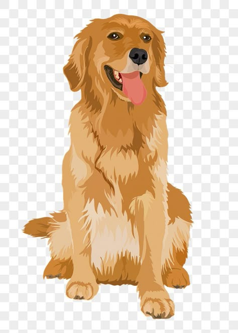 Golden Retriever Cartoon Wallpaper, Retriever Illustration, Golden Retriever Cartoon, Golden Retriever Illustration, Golden Retriever Drawing, Dog Breeds Chart, Cutest Small Dog Breeds, Aesthetic Essentials, Best Small Dog Breeds