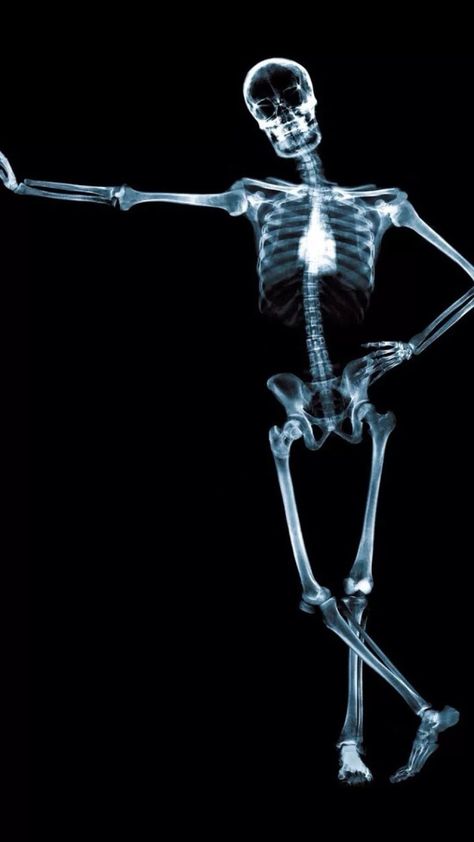 Skeleton Iphone, Xray Art, S8 Wallpaper, Ipad Air Wallpaper, Medical Wallpaper, Human Skeleton, Iphone 6 Wallpaper, Cool Wallpapers For Phones, Wallpaper Trends