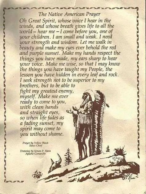 American Sayings, Native Quotes, Indian Wisdom, American Indian Quotes, American Proverbs, Native American Prayers, Native American Proverb, Native American Spirituality, Native American Wisdom