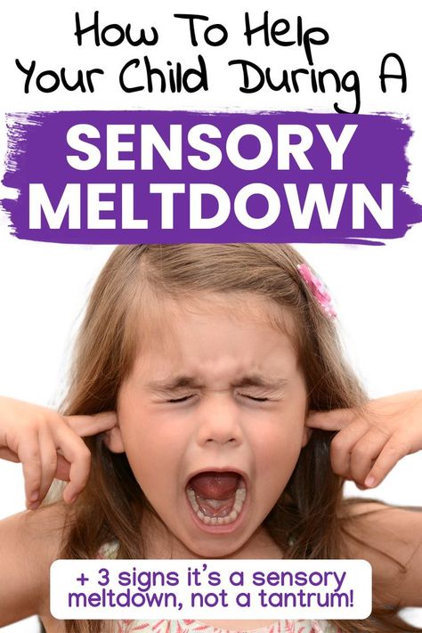 Sensory Meltdown, Sensory Processing Disorder Toddler, Sensory Processing Disorder Activities, Sensory Processing Disorder Symptoms, Toddler Meltdowns, Sensory Seeker, Sensory Disorder, Sensory Therapy, Early Childhood Learning