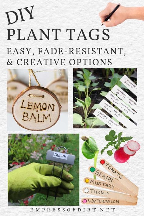 How To Label Plants In Garden, Labeling Plants In The Garden, Garden Name Tags, Diy Plant Labels For Garden, Plant Tags Diy, Plant Labels Diy, Seed Labels Diy Plant Markers, Plant Tags Diy Garden Markers, Plant Markers Diy