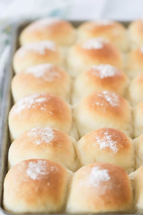 These soft and fluffy homemade Potato Rolls are perfect for any occasion. They’re buttery, delicious, and can easily be made ahead of time. #thecarefreekitchen #bread #rolls #dinner #potatorolls #buns #yeast #sides Rolls Dinner, Potato Rolls Recipe, Potato Rolls, Potato Roll, Bread Boxes, Yeast Bread, Bread Rolls, Dinner Rolls, Rolls Recipe