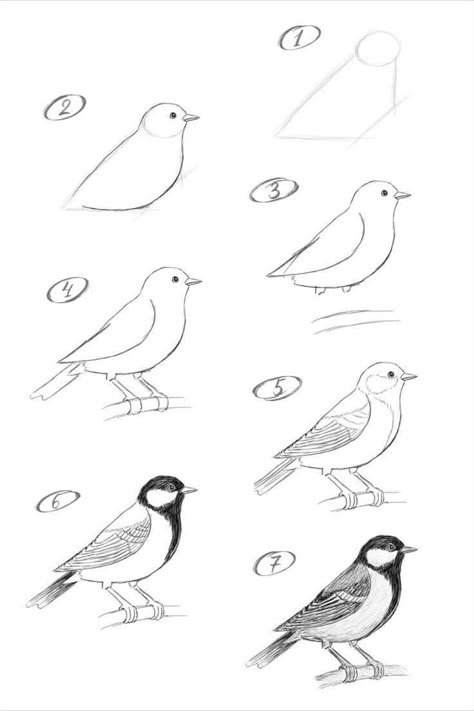 Bird Doodle Art, Drawing Birds Easy, Bird Drawings Easy, Bird Drawing For Kids, Draw A Bird, Draw Birds, Drawing Birds, Easy Animal Drawings, Pencil Drawings Of Animals