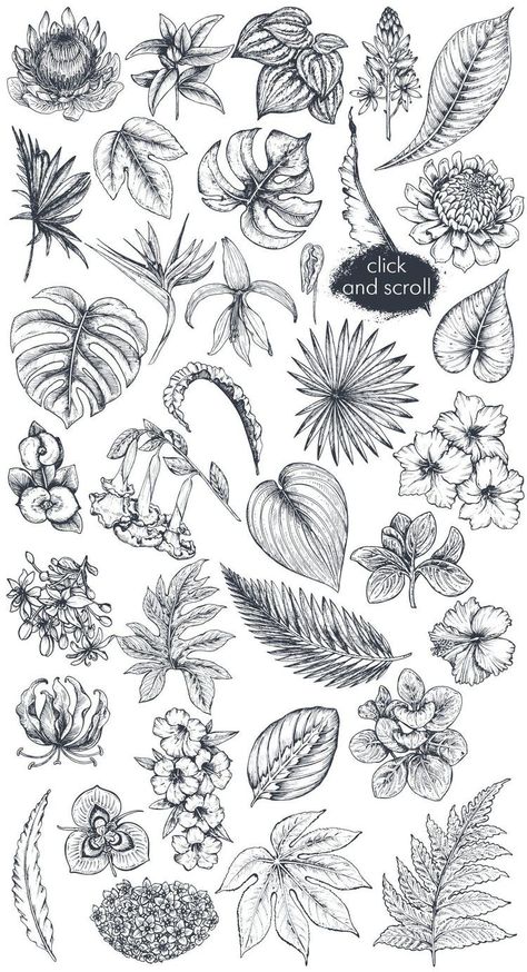 Cactus And Tree Tattoo, Illustrative Botanical Tattoo, Tropical Botanical Tattoo, Tropical Flowers Sketch, Jungle Plant Tattoo, Tropical Bouquet Tattoo, Plants Tattoo Ideas, Plants And Flowers Tattoo, Tropical Foliage Illustration