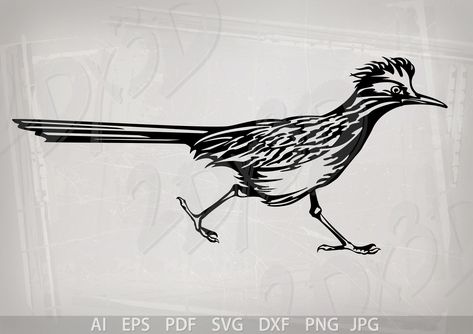 Stencil Drawings, Roadrunner Art, Road Runner Bird, Greater Roadrunner, Vector Animals, Wildflower Drawing, Traditional Tattoo Flowers, Western Tattoos, Camera Tattoo