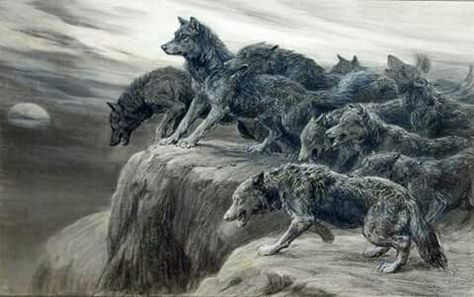 Drawing Wolves Howling At The Moon, Pack Of Wolves, Paul Lahote, Wolves Howling, Howling At The Moon, Wolf Artwork, Werewolf Art, Canine Art, Red Wolf