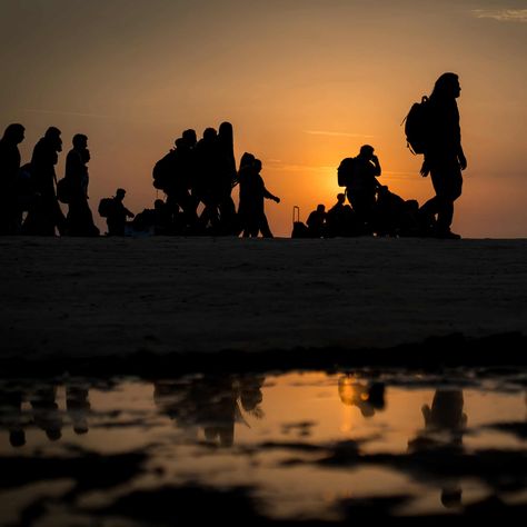 The century of climate migration: why we need to plan for the great upheaval | Migration | The Guardian Climate Migration, Read People, Iran Culture, Ankara Short, Boreal Forest, Environmental Concerns, 6th Grade, The Guardian, To The World