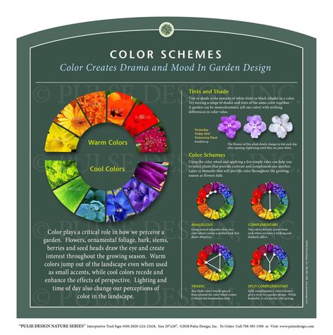 Outdoor Interpretive Sign: Garden Design, Color Schemes, Color Wheel, Warm, Cool, Tints, Shades, Drama, Mood, in Botanic Gardens & Arboretum Series: #100-2020-12A-12419 — Pulse Design Outdoor Interpretive Signs Nature Trail Signs, Trail Signs, Dream Yard, Garden Idea, Golf Tee, Design Outdoor, Botanic Gardens, Wayfinding Signage, Flower Ideas