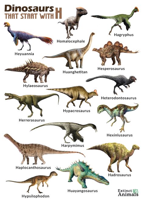 Archeopteryks Dinosaur, Type Of Dinosaurs, Dinosaur Real, Big Dinosaurs, Real Dinosaurs, Dinosaur Information, Types Of Dinosaurs, Geology Art, Dinosaur Types