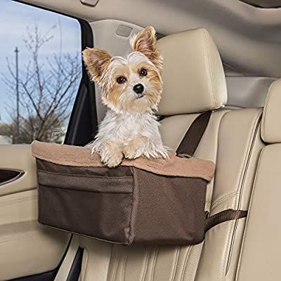 Small Dog Car Seat, Pet Booster Seat, Best Small Dogs, Bichon Havanais, Dog Seat, Booster Car Seat, Pet Car Seat, Dog Car Seats, Pet Car