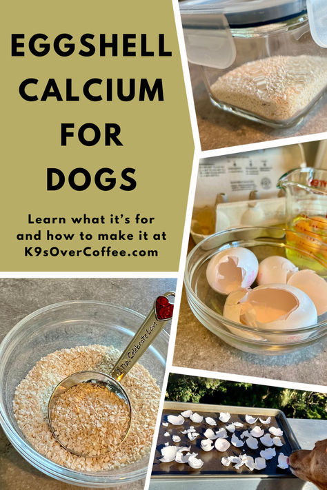 4 different images showcasing homemade eggshell calcium powder for dogs and empty eggshells in a glass bowl and on a baking sheet in the sun. Eggshells For Dogs, Calcium For Dogs, Dog Nutrition Homemade, Raw Eggs For Dogs, Best Raw Food For Dogs, Eggs For Dogs, Complete Nutrition Homemade Dog Food, Egg Shell Calcium Powder, Nutritional Yeast Benefits