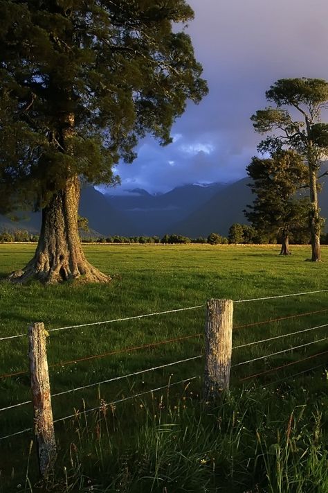 country Country Fences, Green Field, Have Inspiration, Country Scenes, Country Life, Farm Life, 그림 그리기, Country Living, Pretty Pictures