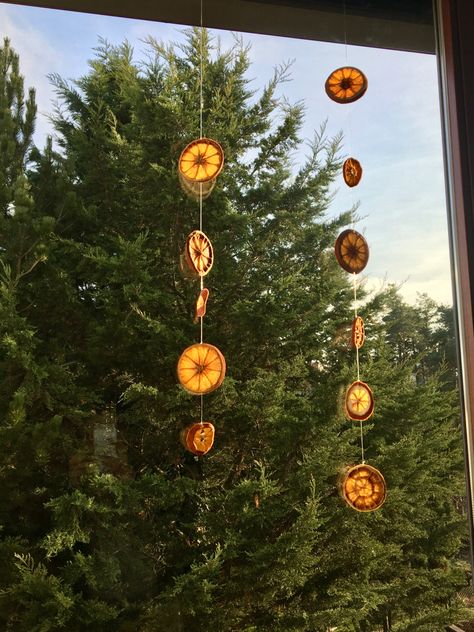 Hanging Dried Fruit, Things To Hang Off Ceiling, Dried Fruit Curtain, Dried Oranges Window, Hanging Dried Oranges, Orange Garland Window, Dried Orange Garland Window, Dried Lemon Decor, Hanging Orange Slices