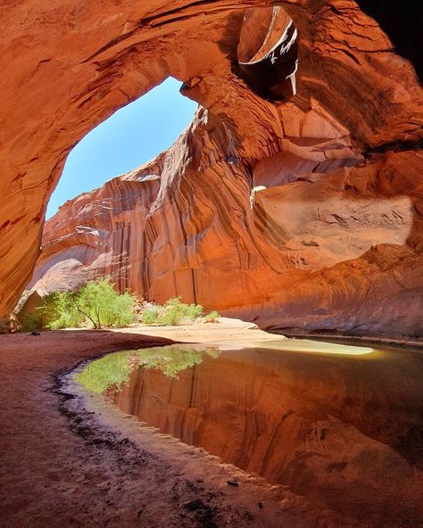 Western National Parks, Great Canyon, Utah Canyons, Canyon Aesthetic, Glen Canyon National Park, Grand Canyon Aesthetic, Utah Nature, Utah Landscape Photography, Grand Canyon Pictures