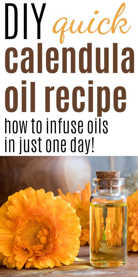 This DIY calendula oil recipe is so quick and easy! Make calendula oil in just one day using your slow cooker or sous vide cooker, then use your calendula maceration for DIY skin care products! #calendulaoil #calendulamaceration #diyskincare #naturalskincare Calendula Tea, Calendula Oil, Herbal Healing, Infused Oils, Organic Herbs, Healing Herbs, Medicinal Herbs, Medicinal Plants, Natural Medicine