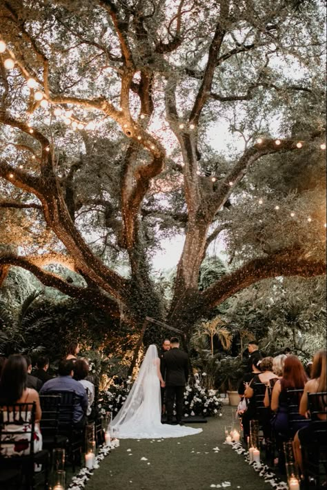 Forest Green Outdoor Wedding, Fairy Lights Woods Wedding, Tree With Lights Wedding, Hanging Lights In Trees Wedding, Wedding Dresses For Woodland Wedding, In The Woods Wedding Ideas, Black Wedding Outdoor, Wedding Venue Forest Fairy Lights, Outside Black Wedding