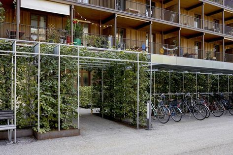 VOGT - Freilager, Albisrieden Bike Parking Design, Bicycle Parking Design, Warehouse Facade, Outdoor Bike Storage, Bike Shelter, Parking Building, Shell Structure, Concrete Buildings, Shelter Design