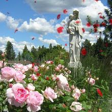 Rose Petals from Heaven: Jesus and Mary-Love you with my whole heart and soul. Mary + Core + Aesthetic, Maria Core Aesthetic, Prayer Garden, Jesus Statue, Mama Mary, Holy Mary, Mary And Jesus, + Core + Aesthetic, Blessed Mother