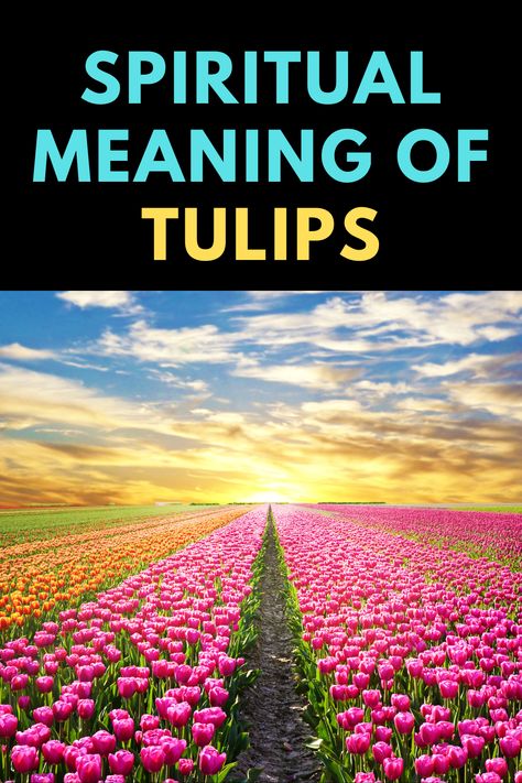 Tulips Meaning Language Of Flowers, Tulip Tattoo Meaning, Tulip Meaning, Tulip Flower Tattoo, Spiritual Flowers, Tulips Tattoo, Tulip Poplar Tree, Tulips Orange, Tree Meanings