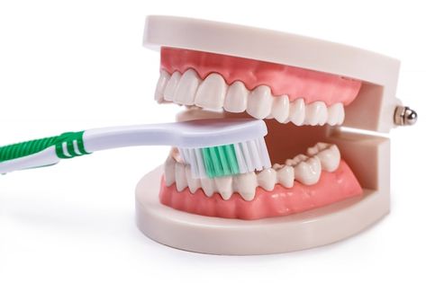 White teeth | Free Photo #Freepik #freephoto #denture #oral-care #toothbrush #tooth-brush Misaligned Teeth, Teeth Alignment, Shingle Colors, Gum Care, Tooth Brush, Best Dentist, Teeth Care, Dental Office, White Teeth