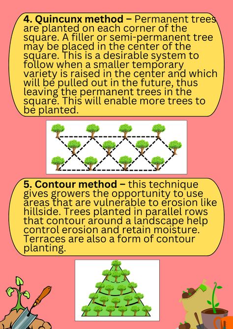 Trees To Plant, Planting, Layout Design, Layout, Plants, Quick Saves, Design