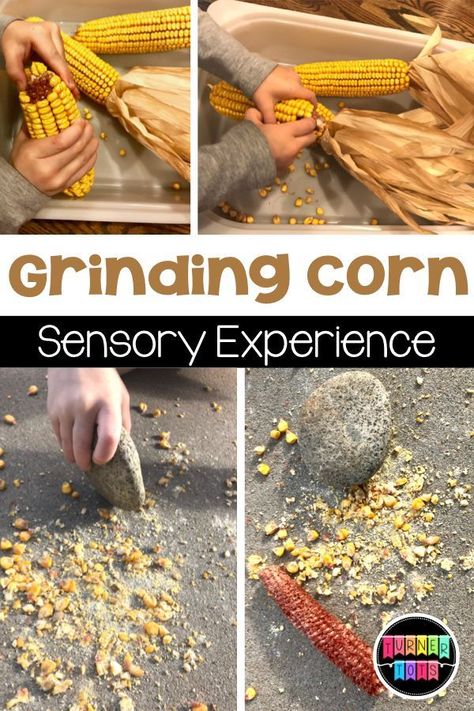 Grinding Corn Sensory Experience Turkey Sensory Bin, Pom Pom Turkey, Thanksgiving Activities For Toddlers, Pilgrim Activities, Literacy Activities For Preschoolers, Thanksgiving Literacy Activities, Turkey Activities, Harvest Activities, Thanksgiving Literacy