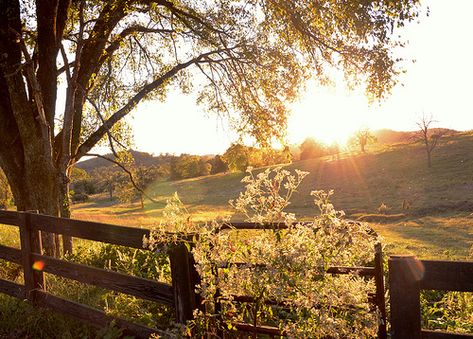 I want this to be what I see outside my window each day. Iggy Azalea, Green Gables, Nature Aesthetic, Pretty Places, Art Plastique, Country Life, Farm Life, Beautiful Landscapes, Happy Places