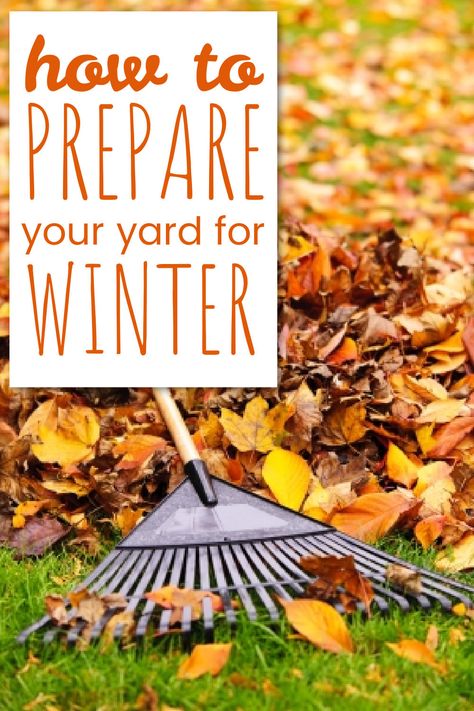 As the temperature gets colder, you'll want to start thinking about what you need to do to get your yard ready for winter. Check out these 5 tips to get your yard and landscaping ready for winter with these easy tasks. Winter Preparedness, Winter Yard, Winter Tips, Commercial Landscaping, Winter Hacks, Outside Furniture, Fall Front, Landscaping Tips, Yard Work