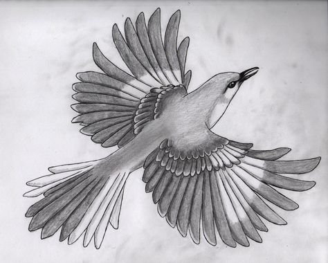 The beautiful Texas Mockingbird made by yours truly. Mockingbird Drawing, Texas Mockingbird, Mockingbird Tattoo, Artist Residency, State Birds, Doodle Ideas, Tattoo You, Miss You, Tatting