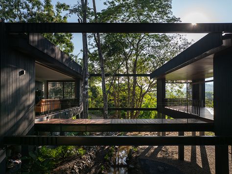 Raintree House, Rain Tree, Architecture Program, Timber Battens, Loft Studio, Traditional Building, Concrete Structure, Open Layout, Space Architecture