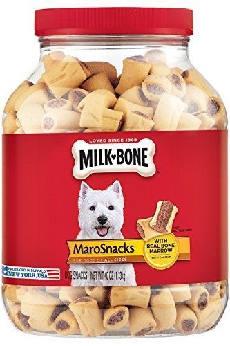 36 Best Dog Christmas Presents - Unique Gift Ideas for Dogs Nutrition Packaging, Strong Teeth, Dog Pool, Dog Treat Jar, Dog Training Treats, Dog Treats Homemade, Treats For Dogs, Real Bones, Mr Bean