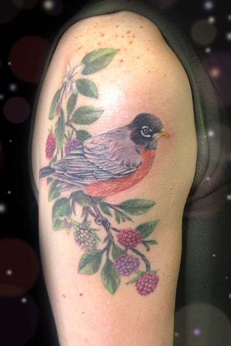 Tattoo uploaded by Megan • Berries and American robin bird • 1280231 • Tattoodo American Robin Tattoo, Robin Tattoos, American Robin Bird, Robin Tattoo, American Robin, Robin Bird, Book Tattoo, Name Tattoos, Mom Tattoos