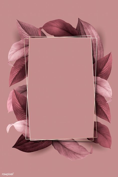 Pink Background, Premium Vector, Square, Frame, Pink, White