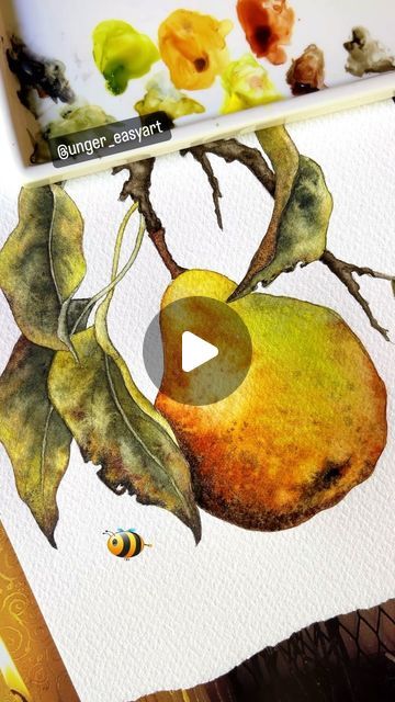 Watercolor Pears, Pear Watercolor, Watercolour Fruit, Watercolor Guide, Watercolor Beginner, Art Tutorials Watercolor, Watercolor Fruit, Botanical Painting, Botanical Watercolor