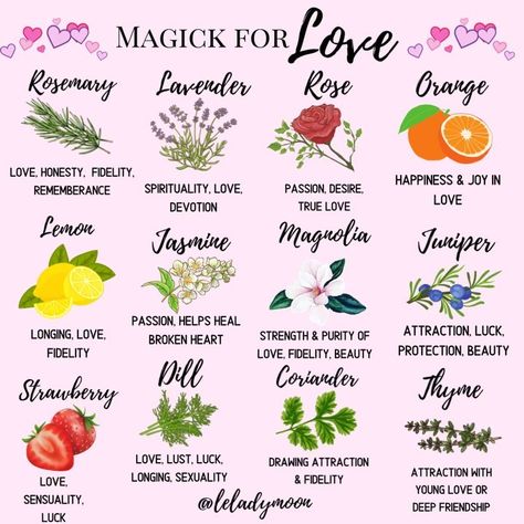 Awaken Your Inner Magic💎🌙 on Instagram: “Magick for love🌹🍓💕🌸🍫💫 . F O L L O W @leladymoon, @witchmagicklove & @thewitchymarketplace 🌙 . Tap the link in bio for....... 🎶Witchy…” Herb Meanings, Spells That Actually Work, Witchcraft Herbs, Beauty Spells, Nature Witch, My Mistake, Magic Herbs, Eclectic Witch, Witchcraft Spell Books