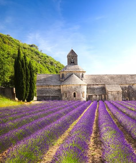 The Most Beautiful Places in France: Sénanque Abbey, Provence Beautiful Places In France, Places In France, Lavender Field, Voyage Europe, Destination Voyage, Provence France, South Of France, France Travel, Pretty Places