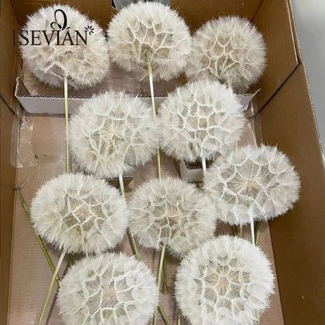 ISEVIAN Wedding Decoration Big Natural Dried Grass White Giant Dandelion Flower https://m.alibaba.com/product/1600653899190/ISEVIAN-Wedding-Decoration-Big-Natural-Dried.html?__sceneInfo={"cacheTime":"1800000","type":"appDetailShare"} Dandelion Wedding Theme, Goblin Wedding, Giant Dandelion, Dandelion Wedding, Dandelion Seed, Dandelion Flower, Wedding Board, White Flower, Wedding Decoration