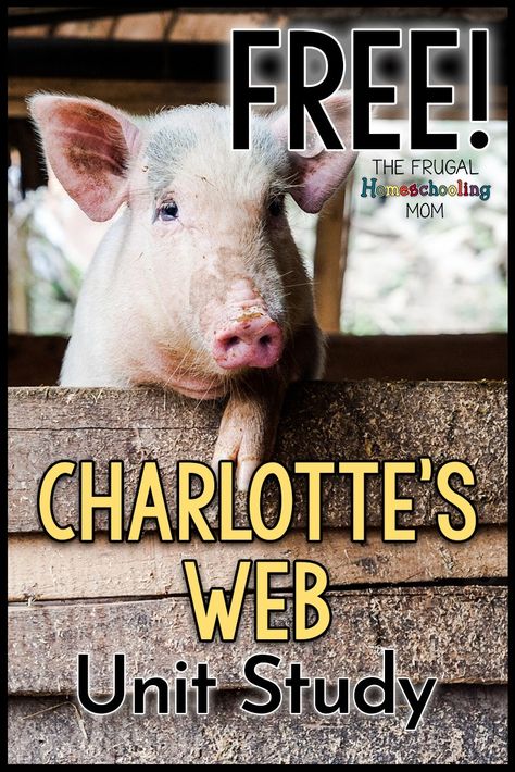 October Homeschool, Charlottes Web Activities, Charlotte's Web Book, Charlotte Web, Literature Based Homeschool, Literature Unit Studies, Indian In The Cupboard, Web Activity, Novel Study Activities